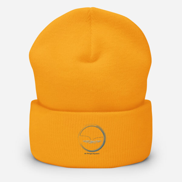The Lookout Beanie